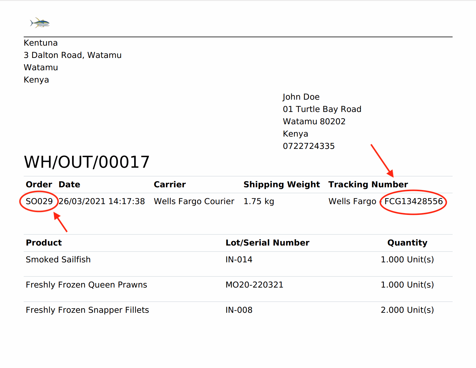 Odoo • Image and Text